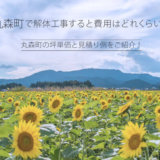 丸森町のひまわり畑